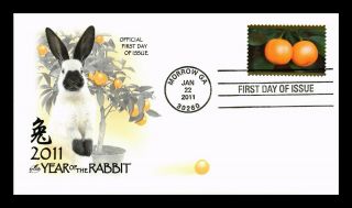 Dr Jim Stamps Us Chinese Lunar Year Of The Rabbit First Day Cover Art Craft