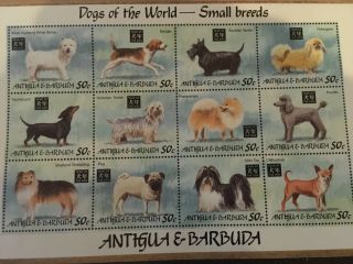 Imperforate Antigua & Barbuda Dogs Of The World Small Breeds 1782