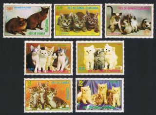 Eq.  Guinea Cats And Kittens 7v Mnh Mi 1016 - 1022