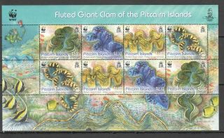 I511 Pitcairn Islands Fauna Wwf Fish & Marine Life Fluted Giant Clam 1kb Mnh