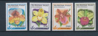 Lk74070 Burkina Faso Orchids Plants Nature Flowers Fine Lot Mnh