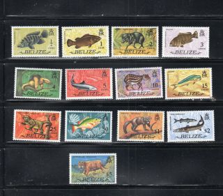 British Honduras Belize Stamps Mostly Never Hinged Some Sets Lot 52650