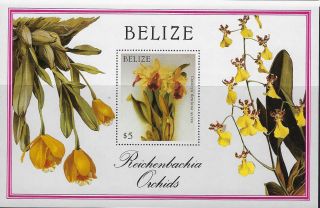 Belize : 1987 Christmas Orchid Min Sheet Sgms1023b Mnh