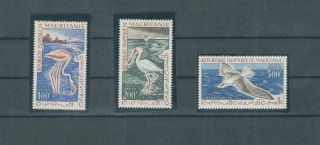 Mauritania 1961 Birds Set Mnh See