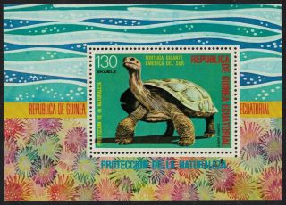 Eq.  Guinea Giant Turtle South American Animals Ms 130 Eq Perf Mnh Sc 77122