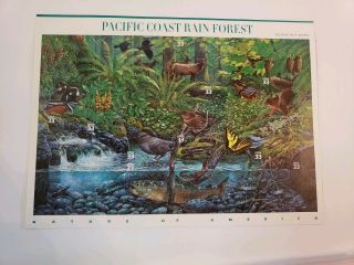 Collectible 33 Cent Stamps Pacific Coast Rainforest