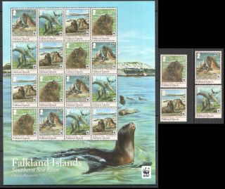 C1188 2011 Falkland Islands Wwf Southern Sea Lion Michel 50 Euro 1sh,  1set Mnh