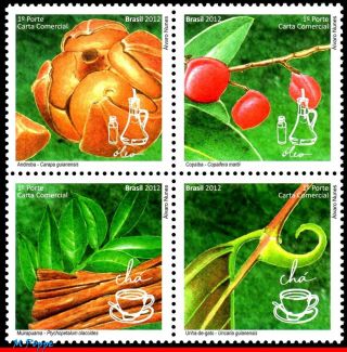 3223 Brazil 2012 Medicinal Plants,  Phytotherapy,  Oil And Tea,  Mnh Vf