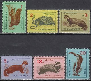 Bulgaria Wildlife Stamps Mnh