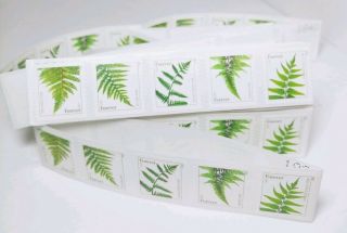 100 Usps 2015 Forever Stamps Various Ferns - Single Strip/roll Of 100 Stamps