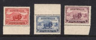Australia 1934 Sheep Set - Og Mlh - Sc 147 - 149 Cats $58.  00