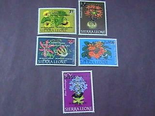 Sierra Leone C37 - C41 - - Never/hinged - - - - - Complete Set - - - Air - Mail - - - 1965