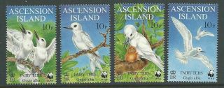 Ascension Island 1999 Fairy Tern Set Of 4 With Wwf Logo Mnh