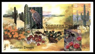 Mayfairstamps Us Fdc 1999 Sonoran Desert Bird Cactus Rabbit First Day Cover Wwb_