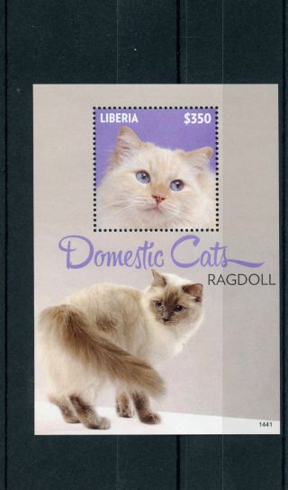 Liberia 2014 Mnh Domestic Cats 1v S/s Ii Pets Ragdoll