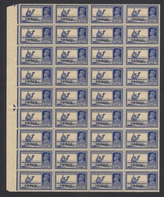 Bahrain Kgvi 1938 - 41 3a6p Dak Camel Mnh Block Of 36.  Sg 25 £216.  00