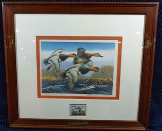 1987 Federal Duck Stamp Print By Arthur G.  Anderson " Redheads " 4,  171/20,  000