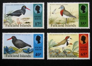 Falkland Islands 1995 Birds.  Full Set Of 4 Stamps.  Nh
