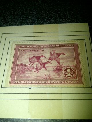 Us Federal Duck Hunting Stamp Migratory Bird Unsigned June 30,  1936 Mallard