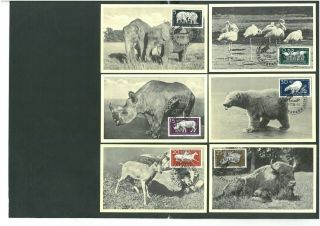 Germany 1956 Fauna Good Set Very Fine Mnh Stamps On Maximum Card