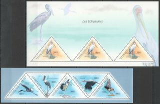 Bc252 2011 Guinea Fauna Water Birds Les Echassiers Storks Herons 2kb Mnh
