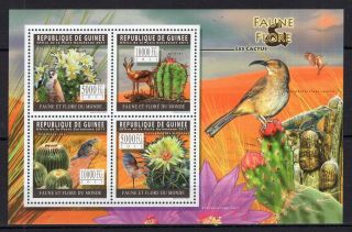 Guinea 2011 - Cactus - Flora - Bird On Postage Stamps - Mnh - Aj