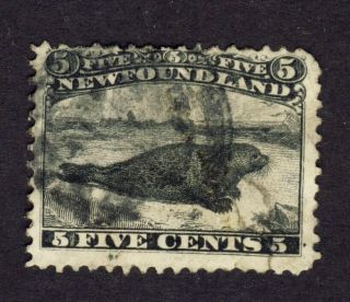 Newfoundland Stamp,  No.  26 - 5c Black Harp Seal U St Cat.  Value= $150.  00