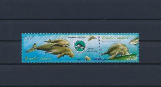 Lk49480 Caledonia Dugong Animals Fauna Flora Sealife Pair Mnh