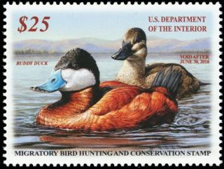 Rw82,  Vf Nh 2016 $25 Ruddy Duck - Federal Duck Stamp - Stuart Katz