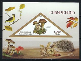 M1848 Nh 2015 Imperf Souvenir Sheet Of Plants Unusual Mushrooms & Hedgehog