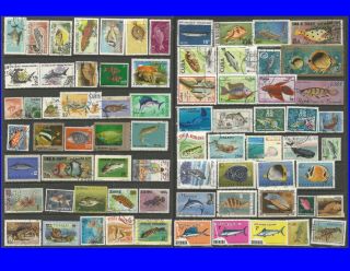 Fish Topical Selection Of Stamps And Mnh Thematical Many Part Sets 0035