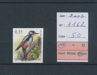 Lk44410 Belgium 2003 Buzin Birds Art Woodpecker Imperf Mnh Cv 50 Eur