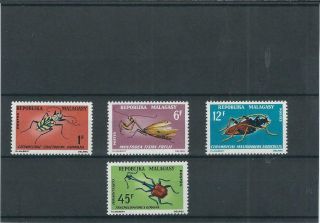 Madagascar 1966 Mnh Insects Set See