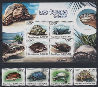 Z928.  Burundi - Mnh - Animals - Reptiles - Turtles - 2011