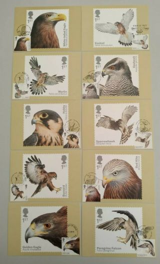 2019 Birds Of Prey Phq Postcards Front