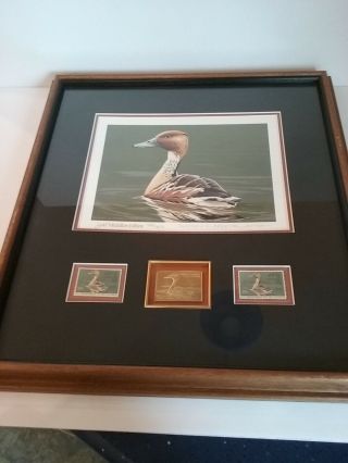 Framed Federal Duck Stamp Print Gold Medallion Edition