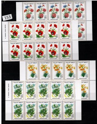 10x Morocco 1974 - Mnh - Flowers,  Flora -