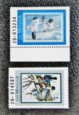 Nystamps Us Montana Duck Stamp 39 40 Og Nh $20