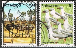 Botswana 1982.  Birds.  4f & 5f.  Ostrich/gull.