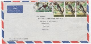 1984 Sierra Leone Air Mail Cover Njala To Guildford Gb Nat West Bank Block Birds