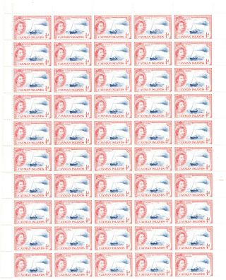 Cayman Islands Qeii Sg148 1/4d.  Deep Bright Blue And Rose - Red 50 Mnh Stamps