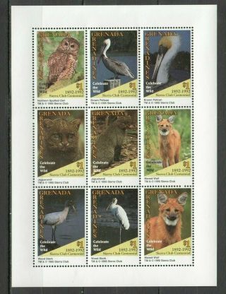 Y1587 1995 Grenada Grenadines Fauna Animals Birds Owls Celebrate The Wild Kb Mnh