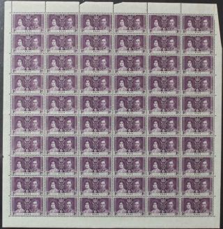 Fiji: 1937 Full 10 X 6 Sheet 1d Coronation Examples - Full Margins (26613)