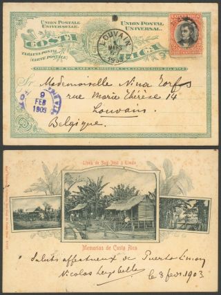 Costa Rica 1903 - Postcard To Louvain Belgium D92
