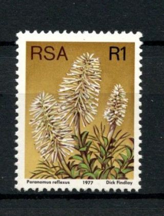 South Africa 1977 - 82 Sg 429a 1r Flowers,  Succulents Definitive P14x13.  5 A28023