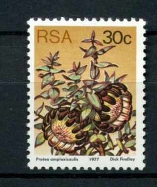 South Africa 1977 - 82 Sg 427 30c Flowers,  Succulents Definitive Mnh P12.  5 A28018
