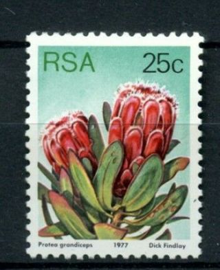 South Africa 1977 - 82 Sg 426 25c Flowers,  Succulents Definitive Mnh P12.  5 A28016