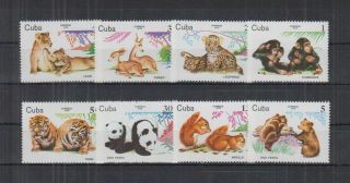 H312.  Caribbean - Mnh - Nature - Animals - Monkeys - Tigers - Lions - Pandas
