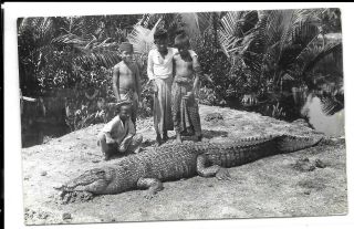 Malaya Postcard Boys Alligator 4c Meter Mark Imperial Airways Some Creasing