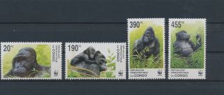 Lk82061 Congo Gorilla Monkeys Wildlife Fine Lot Mnh